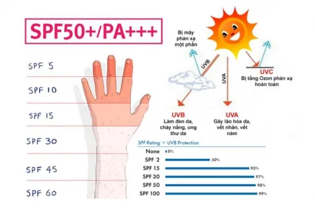 Độ phổ (SPF)