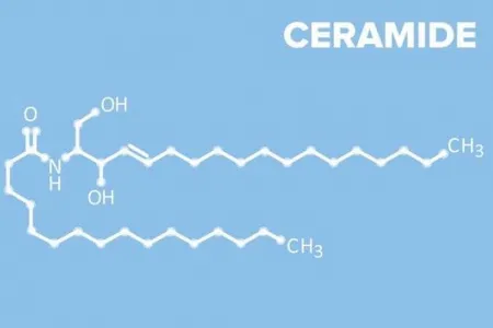 Ceramide là gì