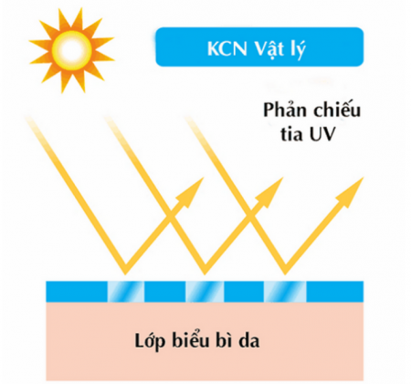 Cơ chế hoạt động