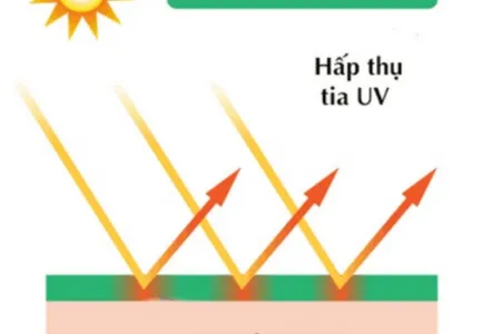 hấp thụ tia UV