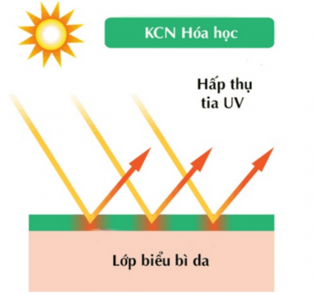 hấp thụ tia UV