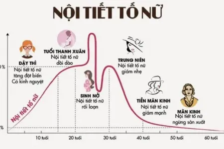 thay đổi nội tiết tố nữ